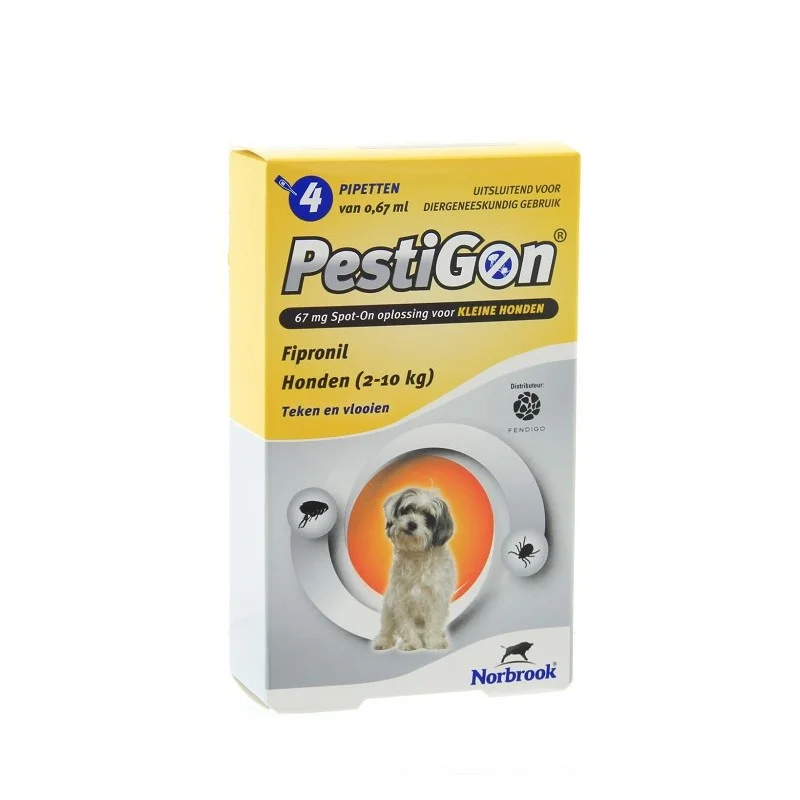 allesvoorongedierte2641554