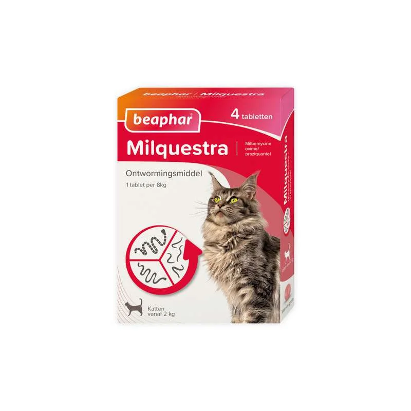 allesvoorongedierte2685496