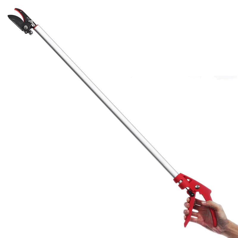 allesxl-12502163