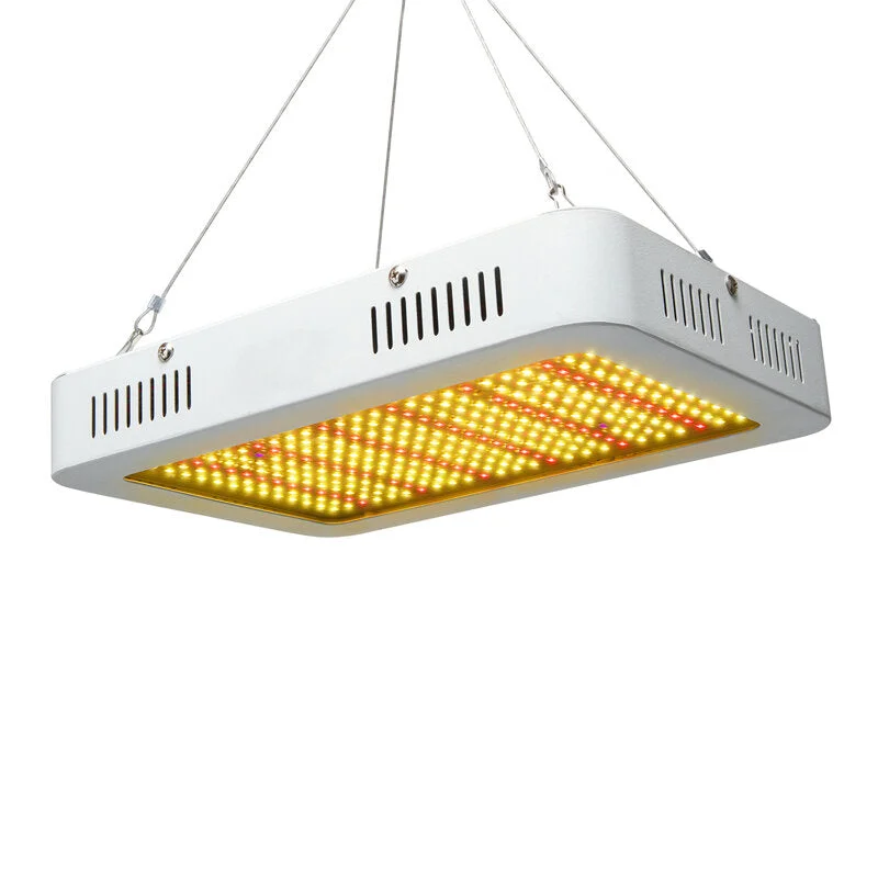 allesxl-12632276