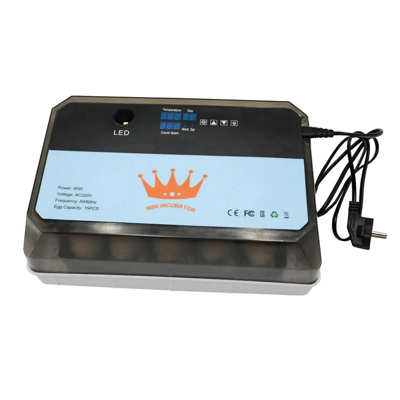 allesxl-12650491
