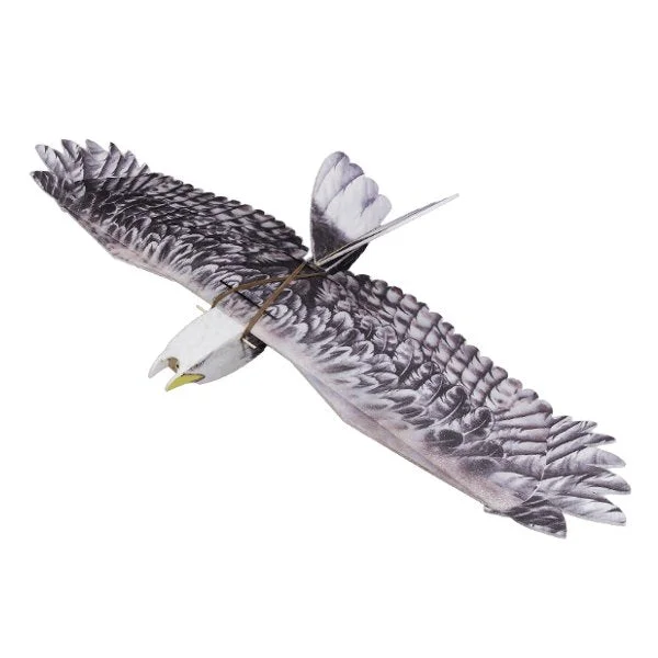 allesxl-12887929