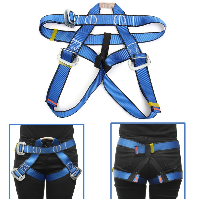 allesxl-12929983
