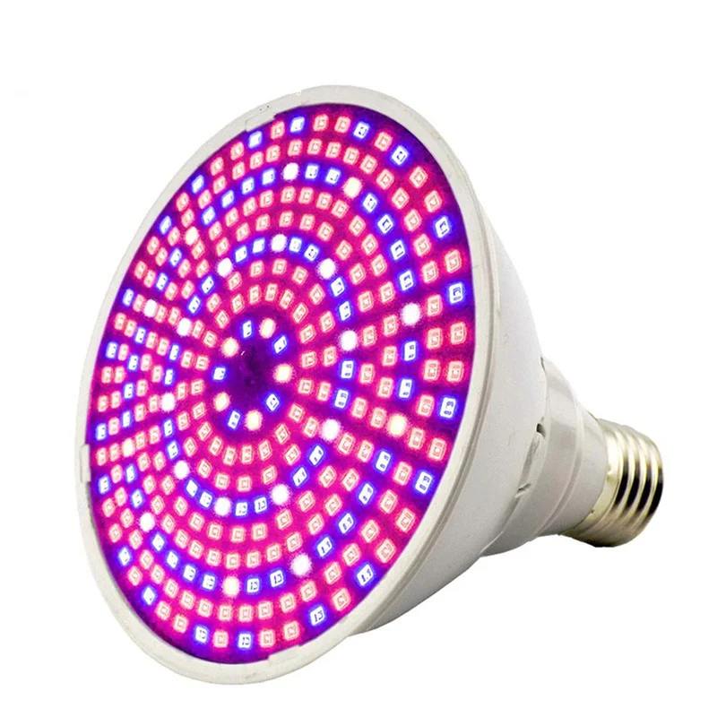 allesxl-12991696