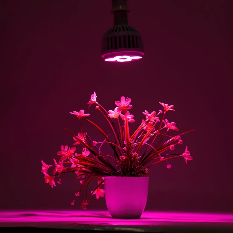 allesxl-22891807