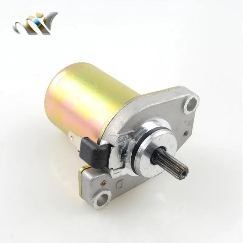 allesxl-32886659