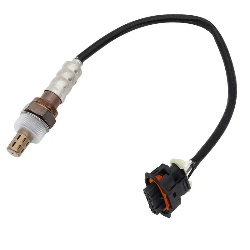 allesxl-33095572