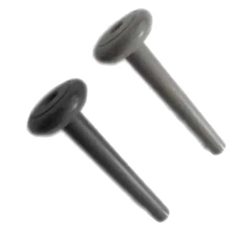 allesxl-33187894