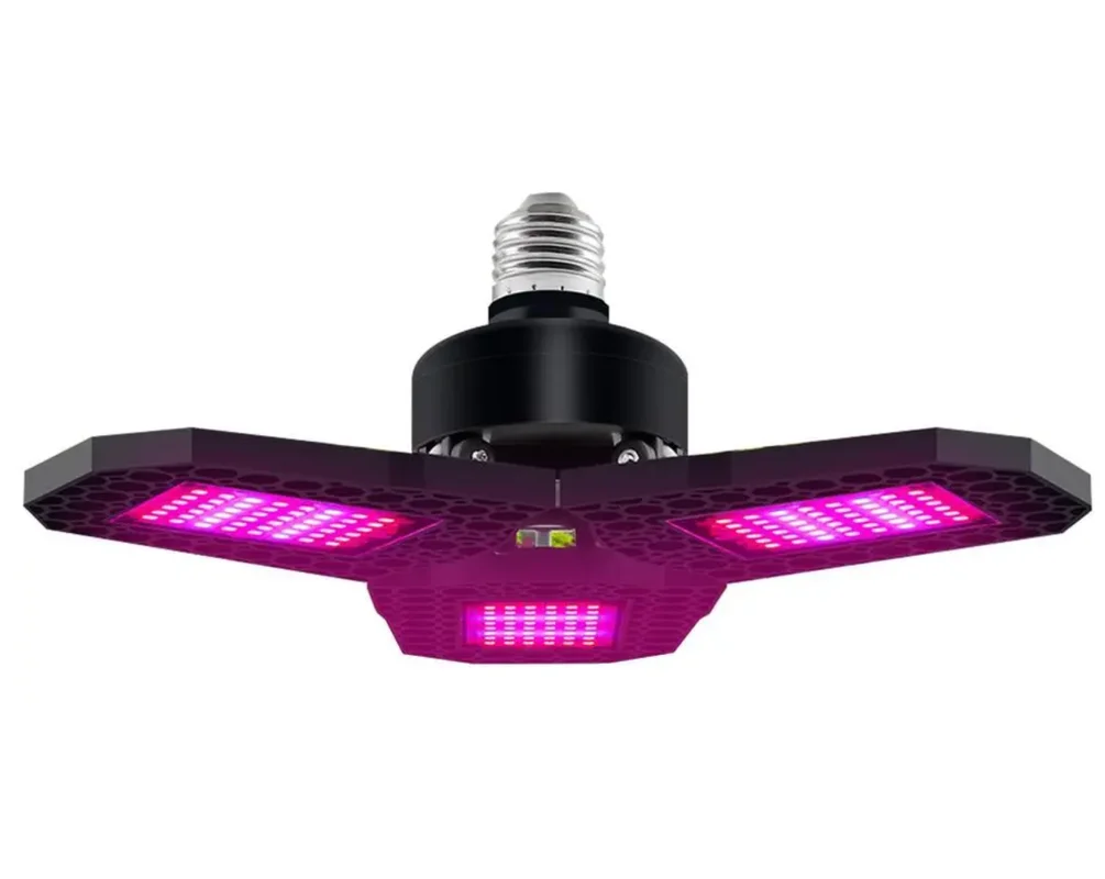 allesxl2546974