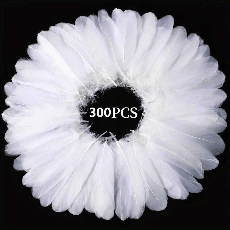 allesxl2725584