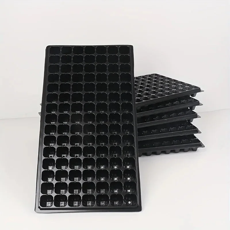 allesxl2765241