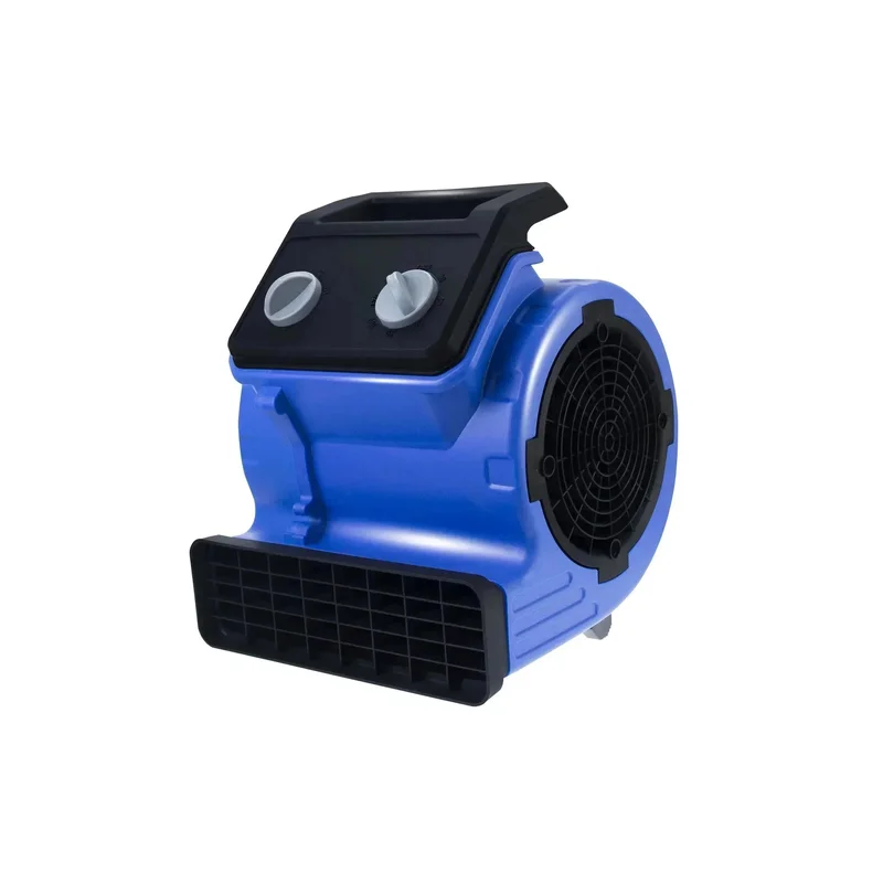 allesxl2803559