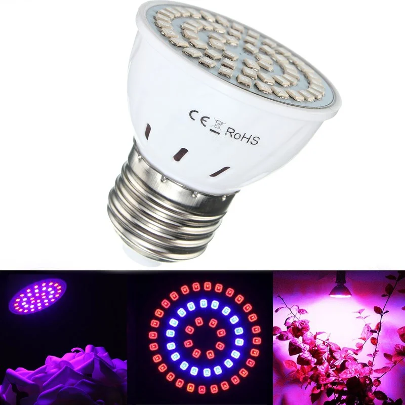 allesxl3079176