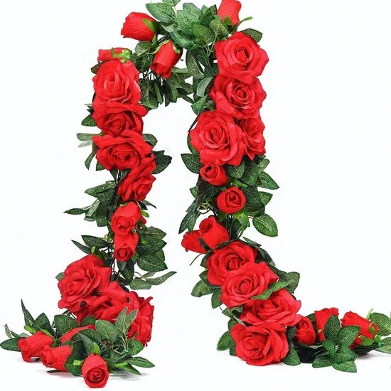 ribbi3196674