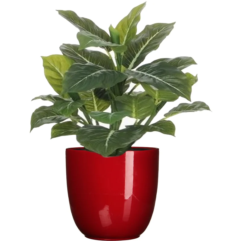 shoppartners-32585586