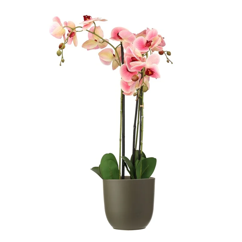 shoppartners-32602215