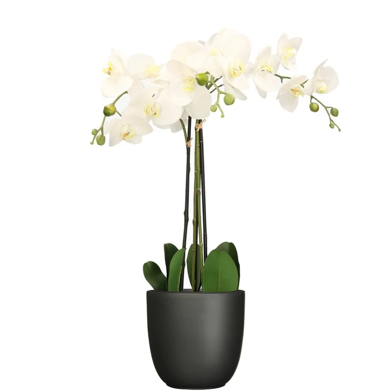 shoppartners-32602354