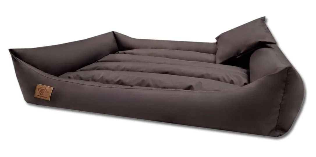 vikingchoice2438412