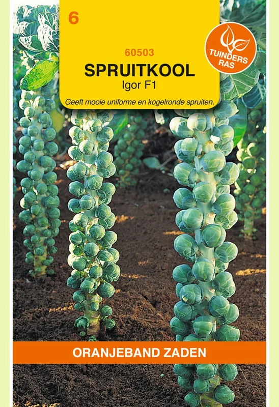 welkoop2843561
